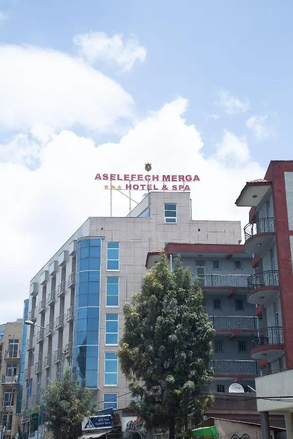 Aselefech Merga Hotel And Spa Addis Ababa
